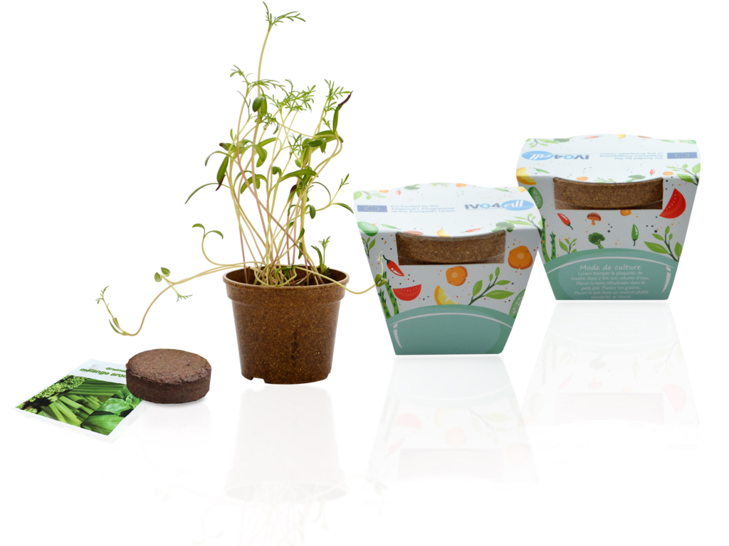Vente Mug kit à pousser trèfle 4 feuilles en ligne