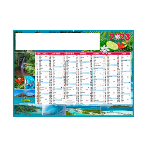 Calendrier bancaire publicitaire - EXOTIC