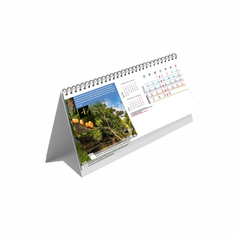 Chevalet personnalisable Maxi 13 feuillets - L'Emeraude