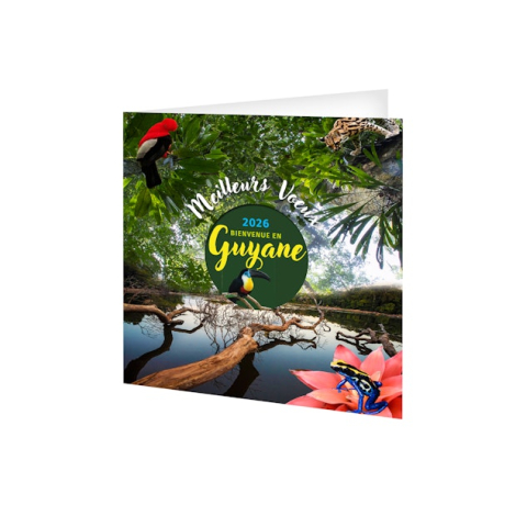 Carte de vœux publicitaire - Mayotte Carte de vœux publicitaire - Mayotte