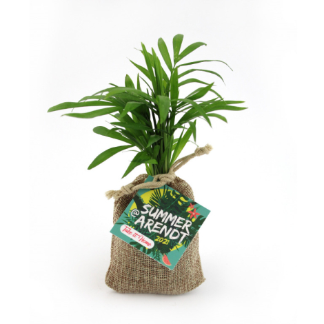 Mini plant d'arbre en pochon publicitaire