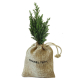 Mini plant d'arbre en pochon publicitaire