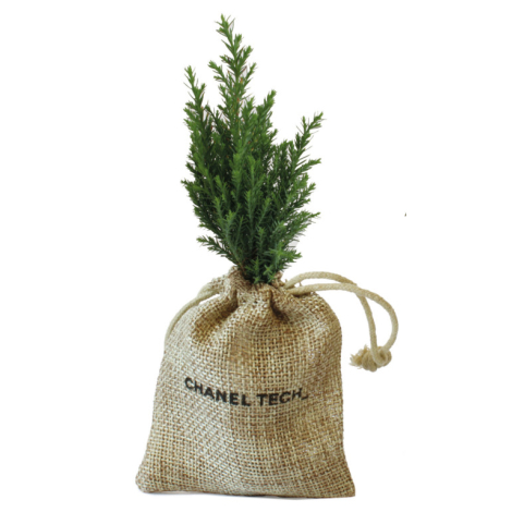 Mini plant d'arbre en pochon publicitaire