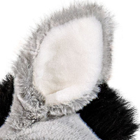 Oreille