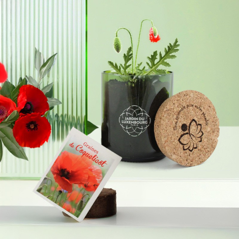 Kit de plantation en bouteille recyclée fabriqué en France