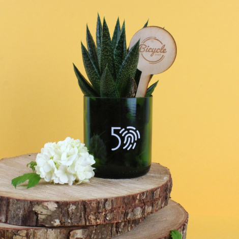 Plante en bouteille recyclée personnalisable fabriquée en France