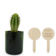 Cactus dans verre vert avec deux étiquettes bois, une marquée
