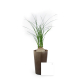 Plante à longues feuilles fines dans pot marron cylindrique, petite étiquette carrée blanche posée devant.
