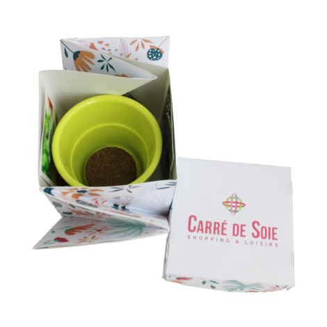 Vue plongeante du kit ouvert avec pot vert et sachets de graines.