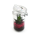 Plante succulente dans bocal en verre avec billes roses, marquage sur le couvercle.