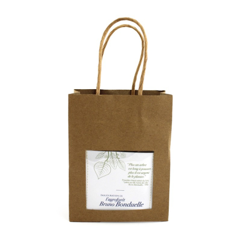 Sac kraft à poignées avec fenêtre laissant voir un carton imprimé, marquage visible.