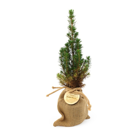 Sapin personnalisable en pochon jute publicitaire