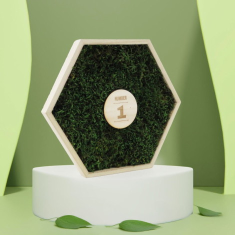 Trophée hexagonal en bois et mousse personnalisable