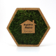 Cadre hexagonal en liège garni de mousse verte avec élément bois en forme de maison fixé au centre, marquage visible. Cadre hexagonal en liège garni de mousse verte avec élément bois en forme de maison fixé au centre, marquage visible.