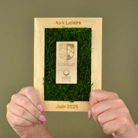 Trophée publicitaire végétal personnalisable en bois