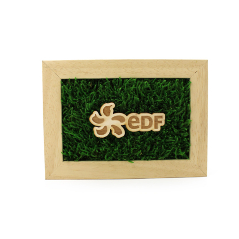Cadre rectangulaire en bois garni de mousse verte avec élément bois en forme de logo EDF fixé au centre, marquage visible.