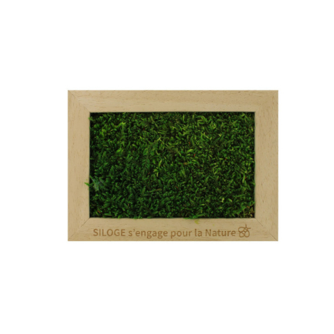 Cadre rectangulaire garni de mousse verte avec gravure apparente sur le cadre.