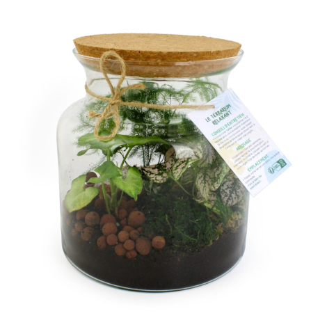 Terrarium relaxant personnalisable en verre