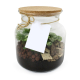 Bocal en verre avec couvercle en liège, plantes vertes et billes d’argile, étiquette imprimée attachée par ficelle, marquage vis