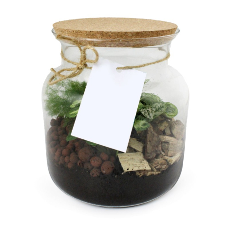 Bocal en verre avec couvercle en liège, plantes vertes et billes d’argile, étiquette imprimée attachée par ficelle, marquage vis