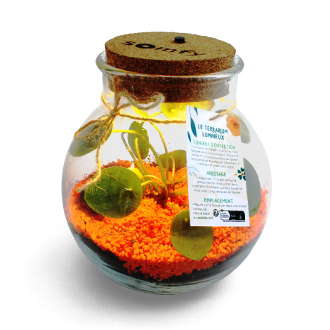 Terrarium lumineux personnalisable en verre