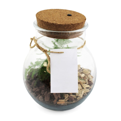 Bocal en verre avec couvercle en liège, contenant plantes et substrat de bois et pierres, décoré d’une étiquette blanche fixée p