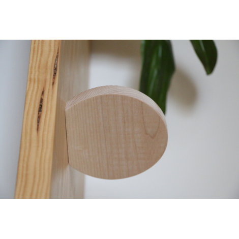 Trophée en bois clair de forme semi-circulaire, photographié de profil sur une étagère, tranche arrondie et base plane visibles,