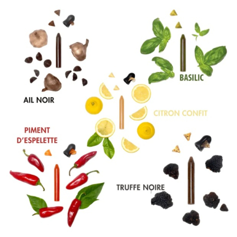 Crayons d’assaisonnement disposés sur fond blanc avec ingrédients associés, sans marquage visible.