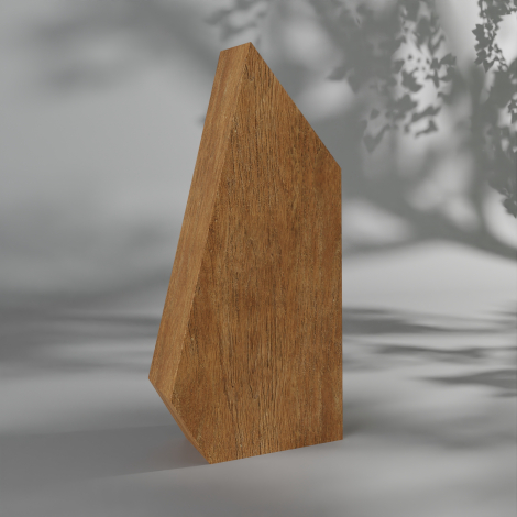 Trophée en bois de hêtre massif sur mesure, forme verticale asymétrique avec arête supérieure inclinée, présenté debout en légèr