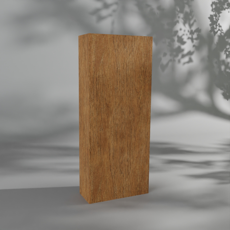 Trophée en bois rectangulaire présenté debout sur fond neutre, surface plane uniforme sans inscription visible.