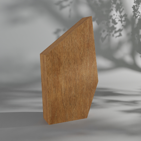 Trophée en bois rectangulaire asymétrique présenté de profil, surface latérale uniforme sans marquage.