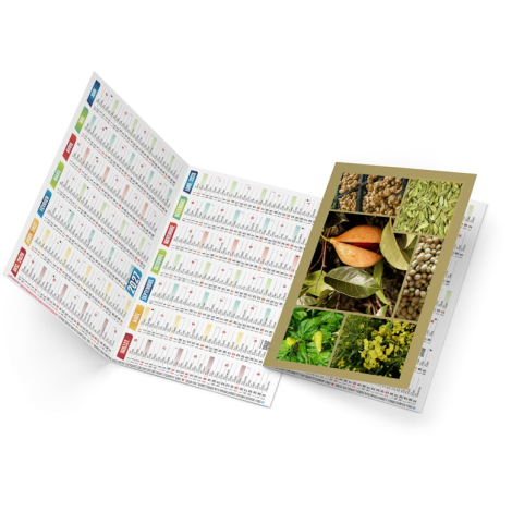 Calendrier de poche promotionnel - Emma