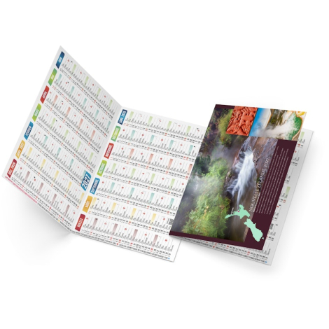 Calendrier de poche promotionnel - Baptiste