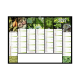 Visuel coloré du calendrier Caméléon suspendu, version midi.