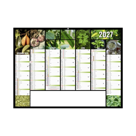 Visuel coloré du calendrier Caméléon suspendu, version midi.