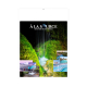 Calendrier bancaire personnalisable 2027 - Marianne
