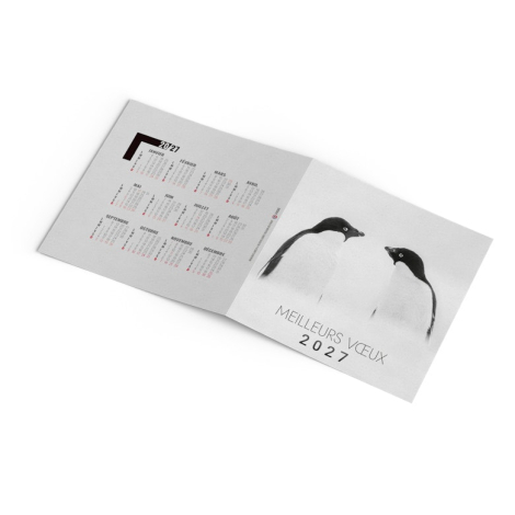Carte de vœux personnalisable - Froid