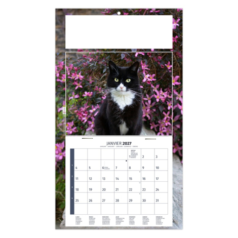 Calendrier illustré d’un chat noir et blanc devant une floraison rose abondante.