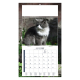 Calendrier illustré d’un chat gris et blanc à poils longs dans un environnement végétal.