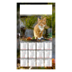 Calendrier illustré d’un chat roux dans un jardin aux couleurs automnales.