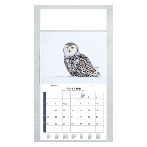 Calendrier illustré d’un harfang des neiges dans son habitat naturel polaire.