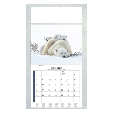 Calendrier illustré d’une femelle ours polaire accompagnée de ses oursons sur la banquise.