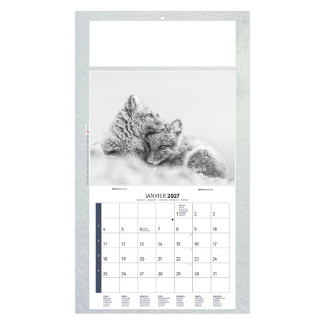 Calendrier illustré de deux jeunes renards arctiques blottis l’un contre l’autre dans la neige.