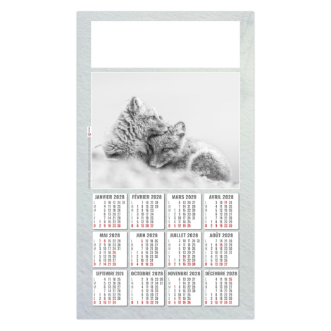 Calendrier illustré de deux jeunes renards arctiques blottis l’un contre l’autre dans la neige.