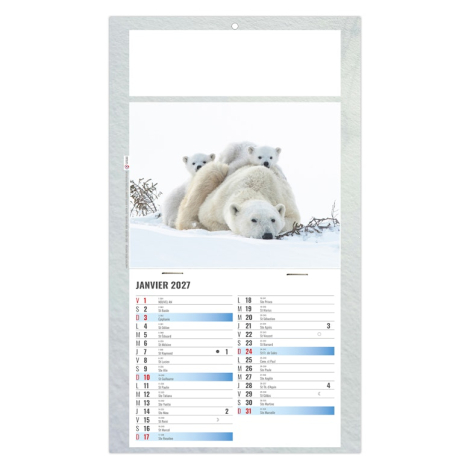 Calendrier illustré d’une femelle ours polaire accompagnée de ses oursons sur la banquise.