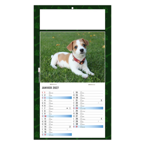 Calendrier illustré d’un jeune chiot allongé dans l’herbe avec calendrier éphéméride mensuel