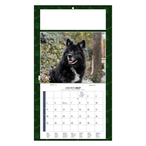 Calendrier illustré d’un chien noir et blanc dans un décor naturel aux couleurs automnales