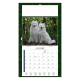 Calendrier illustré de deux samoyèdes blancs photographiés dans une forêt lumineuse