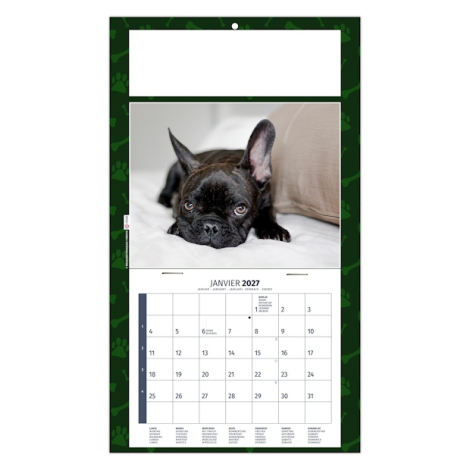 Calendrier illustré d’un bouledogue français noir sur canapé avec fond graphique à motifs canins