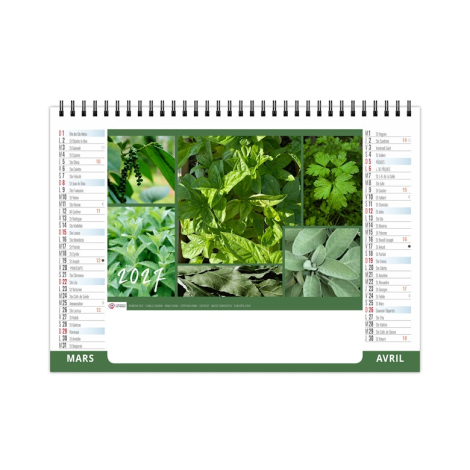 Chevalet de bureau illustré d’herbes aromatiques fraîches, basilic, sauge et menthe.